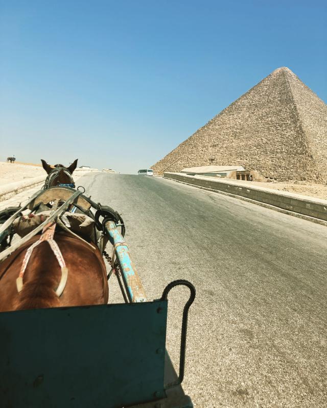 Luxury Escort Coco | Made In Japan