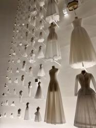 Luxury Escort Coco | Made In Japan