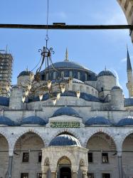 Luxury Escort Sora | Made In Japan