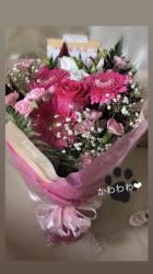 Luxury Escort Emma | Made In Japan