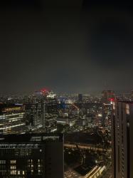 Luxury Escort Emi | Made In Japan