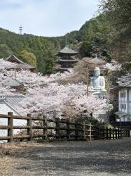 Luxury Escort Miwa | Made In Japan