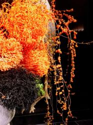 Luxury Escort Soyoka | Made In Japan