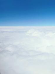 Luxury Escort Soyoka | Made In Japan