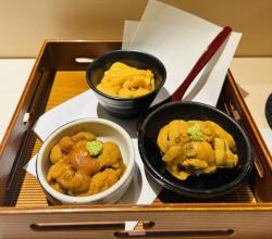 Luxury Escort Tina | Made In Japan